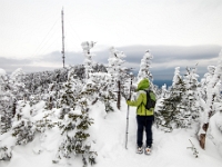 Parc national du Mont-Mégantic -Secteur de l'Observatoire